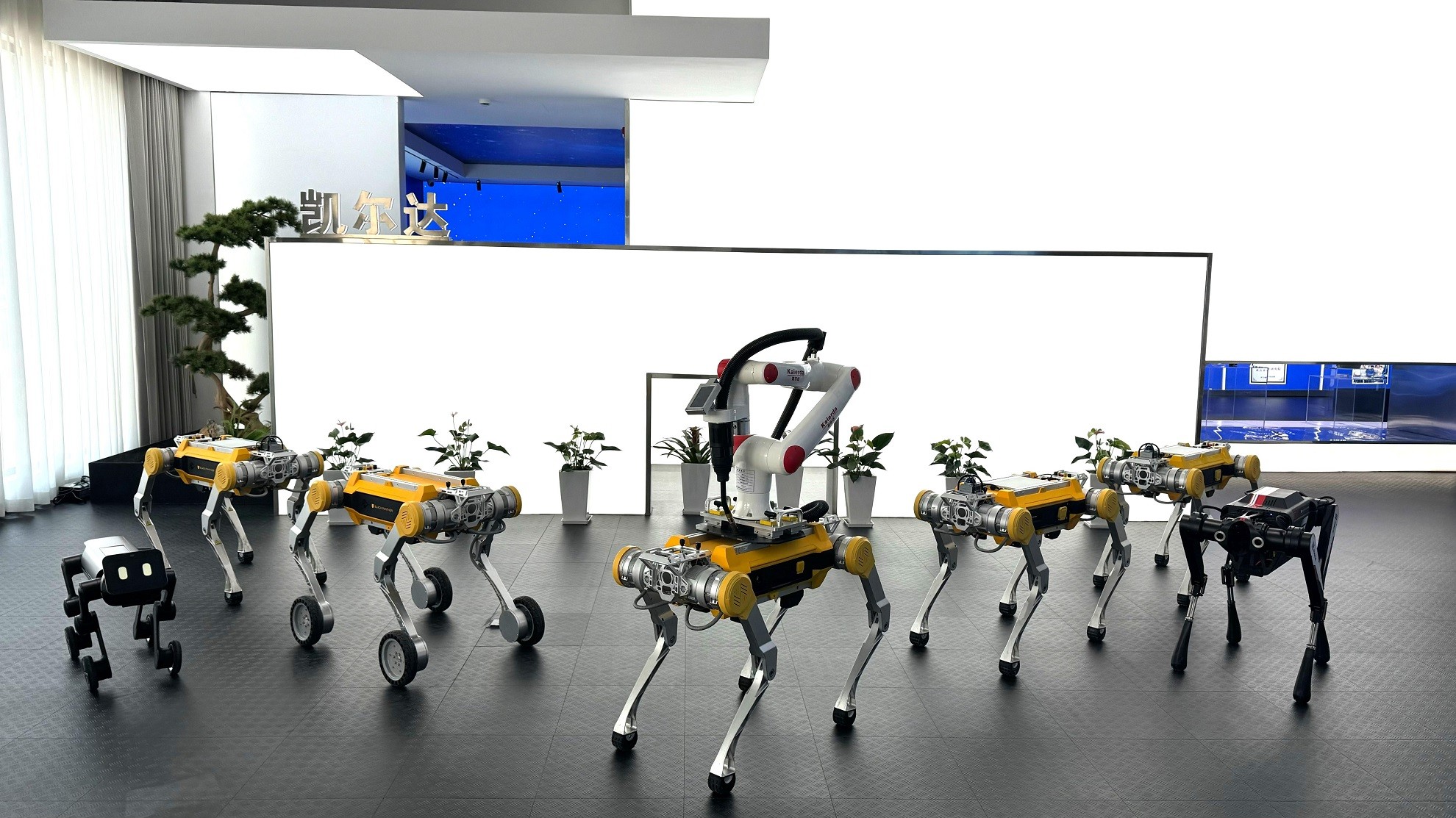 1769133333828918.jpg 图片1.jpg