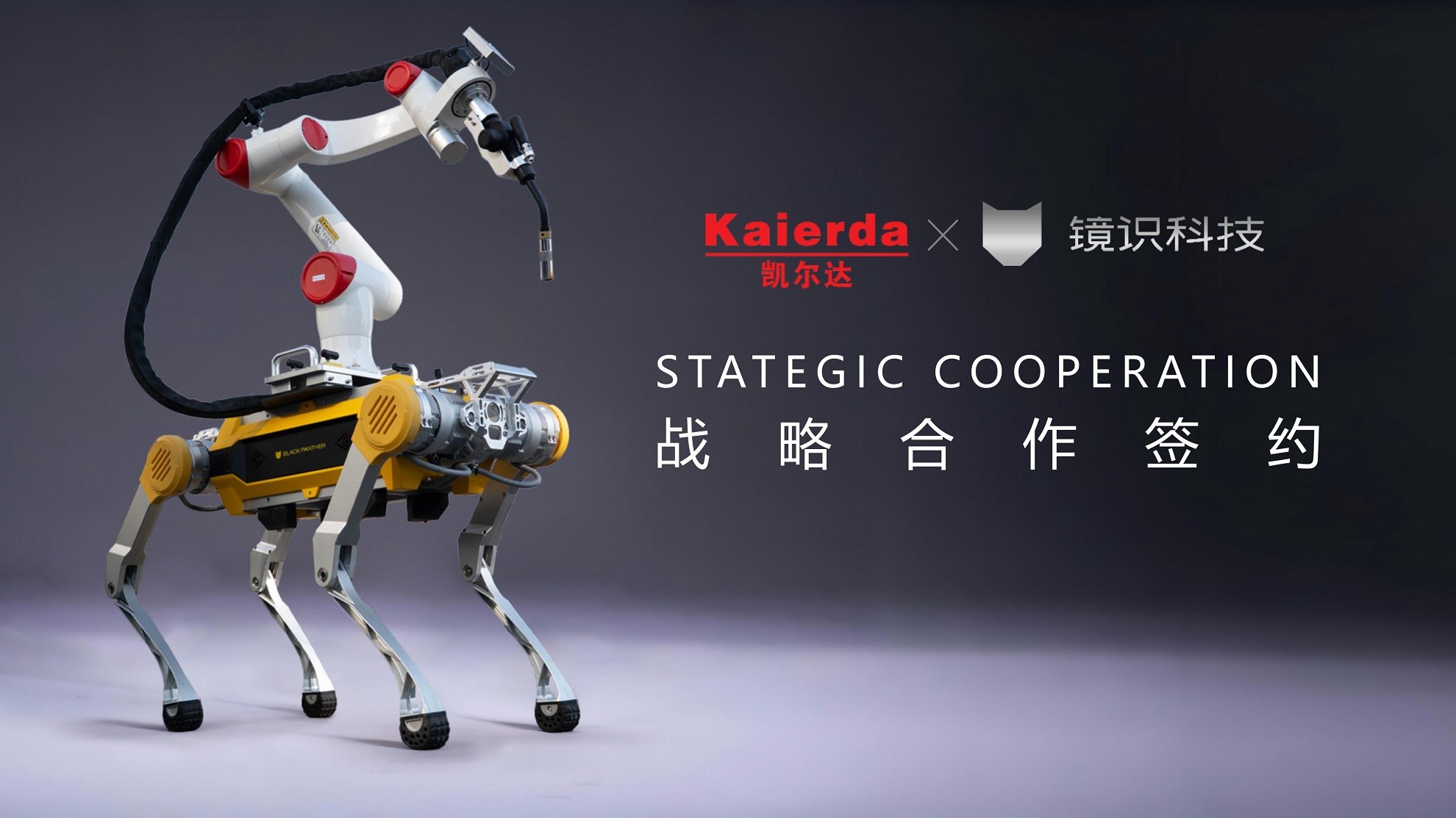 1769133351532393.jpg 图片2.jpg