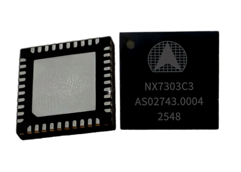 NX7303C3芯片图.png