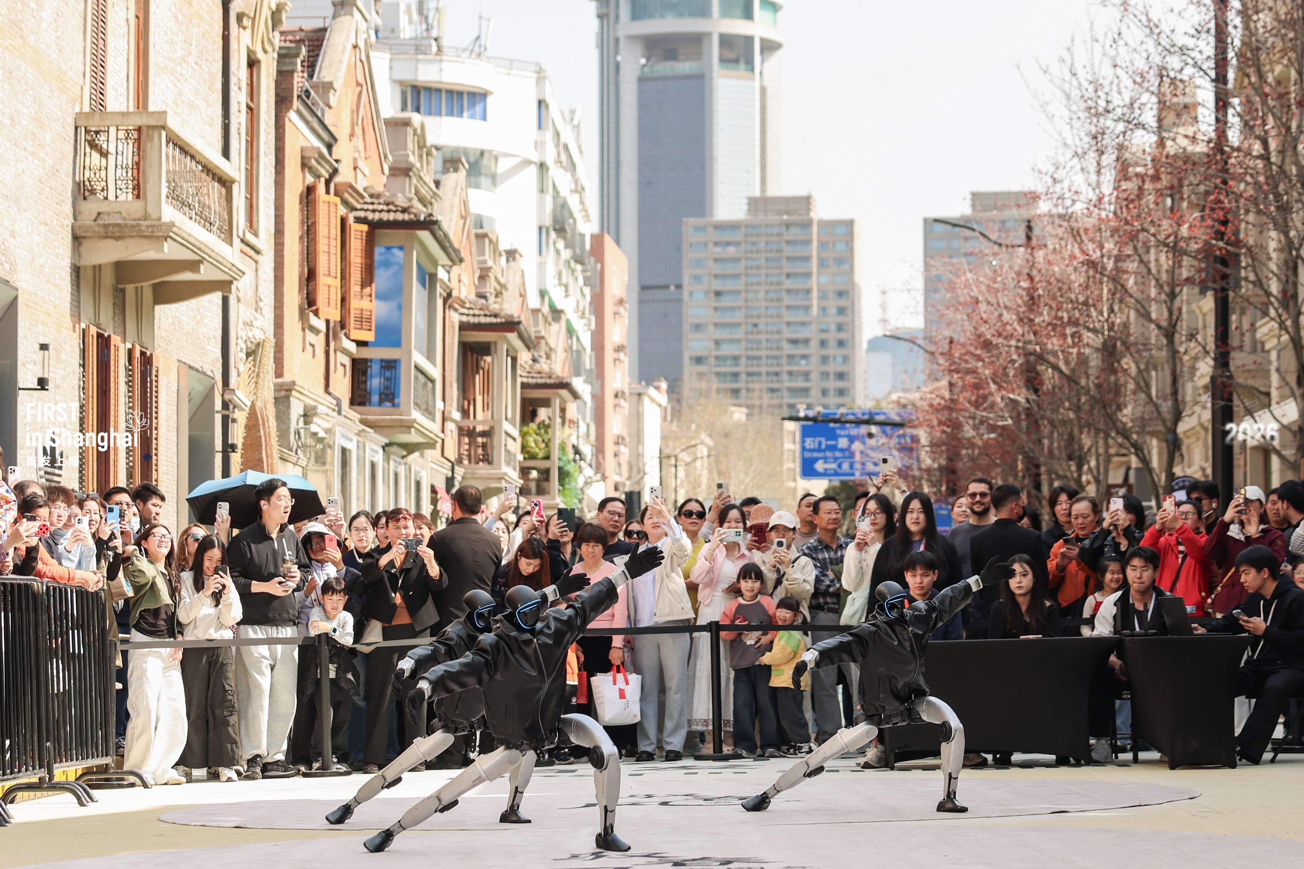 1774933499470391.jpg IMG_7933.JPG