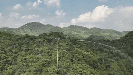1779153726124573.png 图片4.png