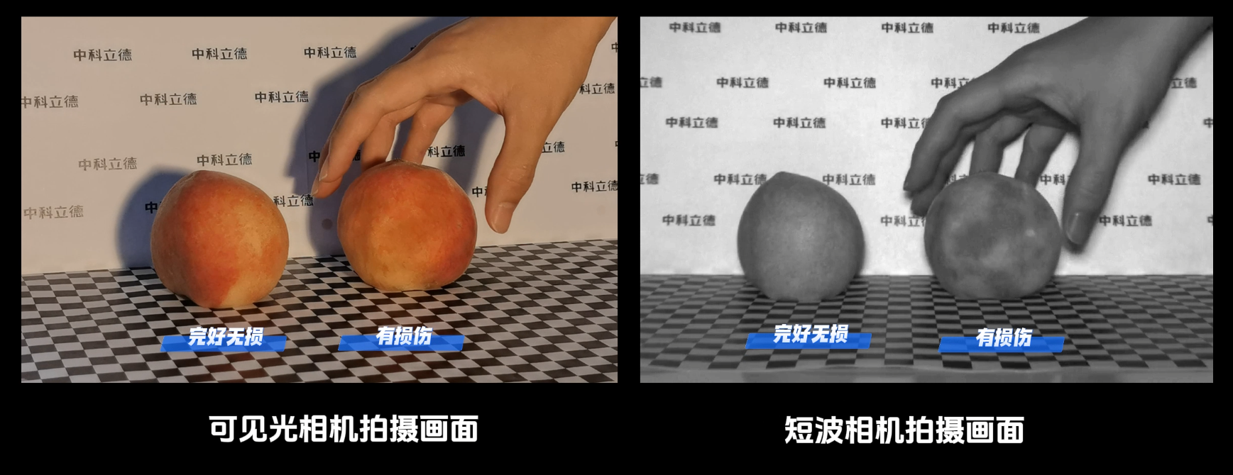 1780624216962495.png