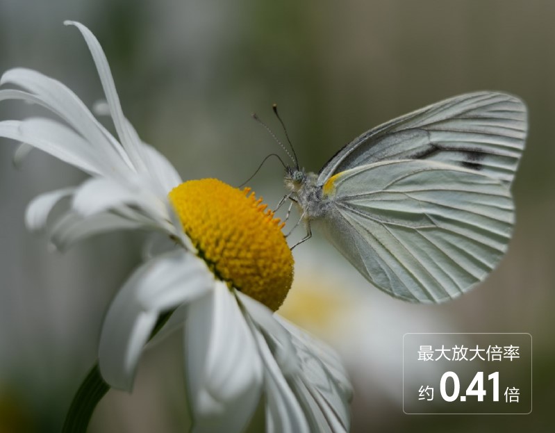 6 近摄性能.jpg
