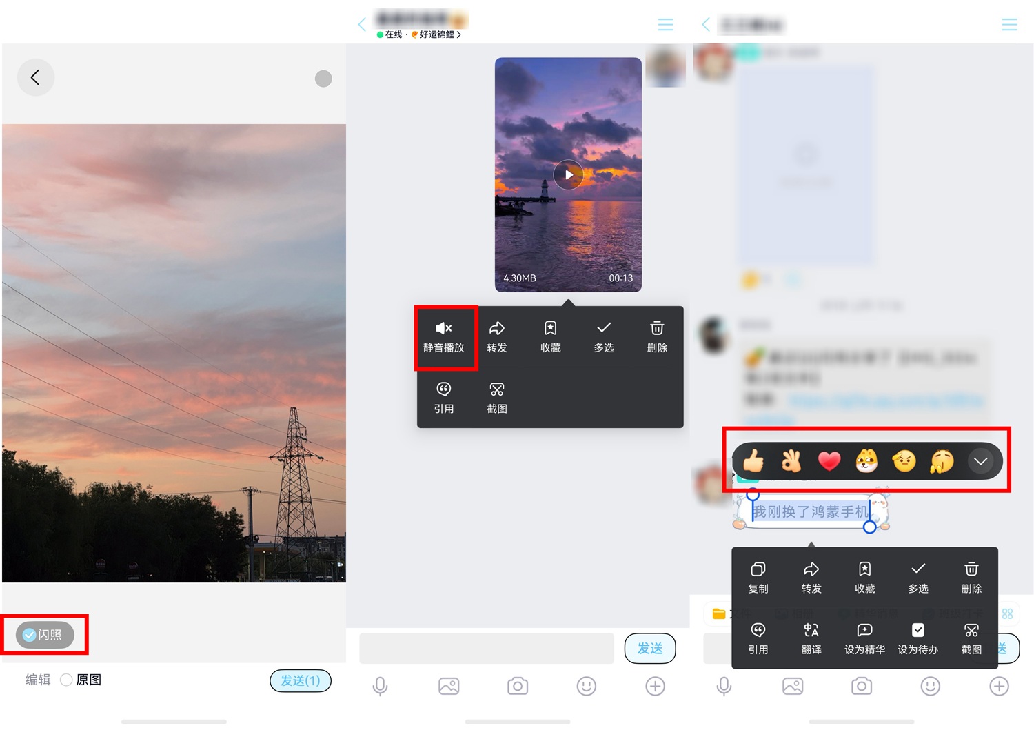 3-闪照＋静音播放＋表情回复.jpg