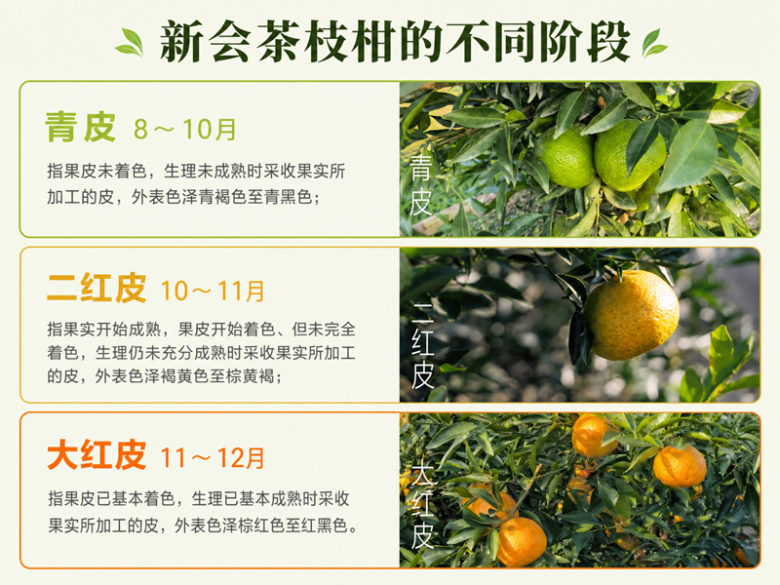 1792480522962406.png 图片2.png