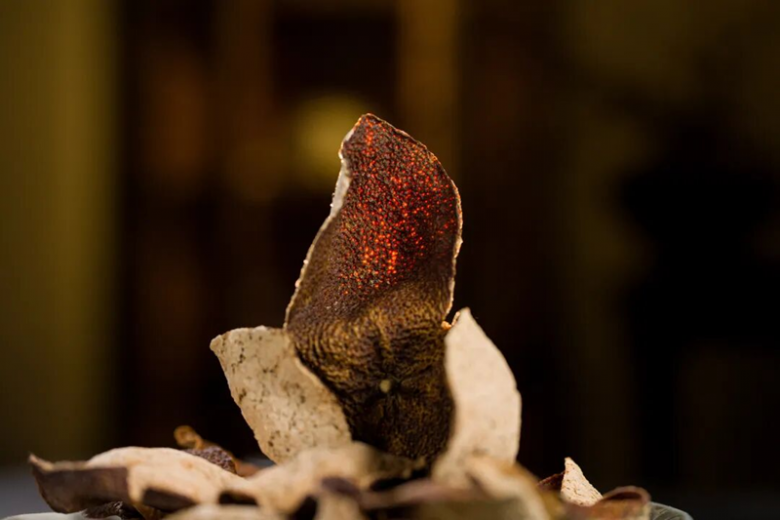 1792480531671815.png 图片4.png